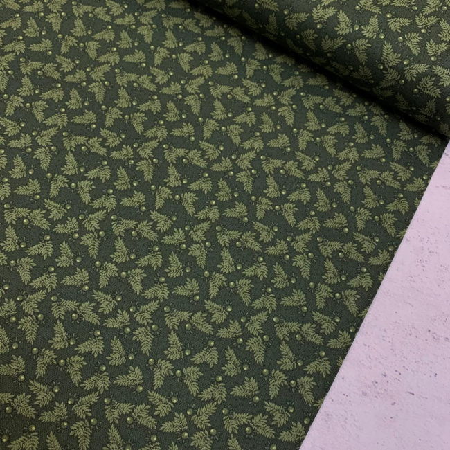 картинка Ткань 100% хлопок Blank Quilting 2666-66 от магазина МиТекс на Пушкина 97